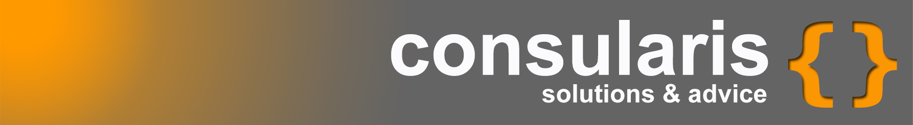 consularis – solutions & advice